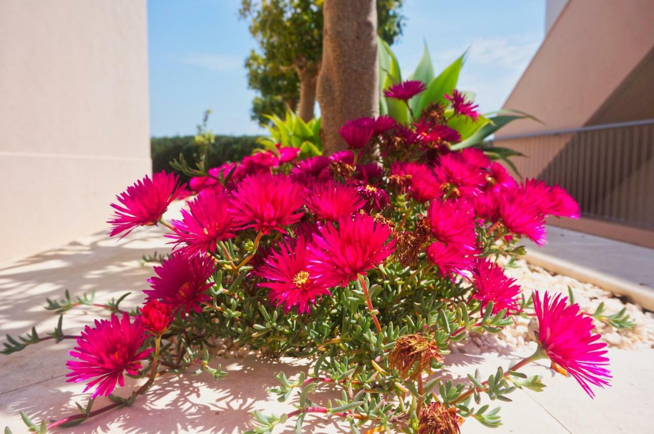 Casa Laranja, Aromas Burgau Exterior foto